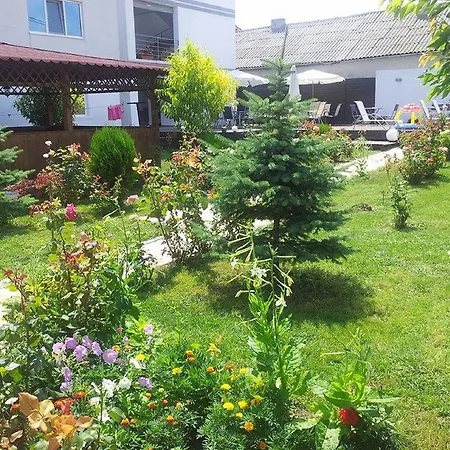 Penzion Economy Costineşti